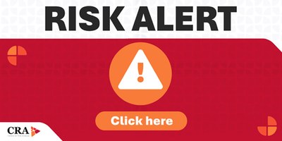 The DA challenges race-based laws